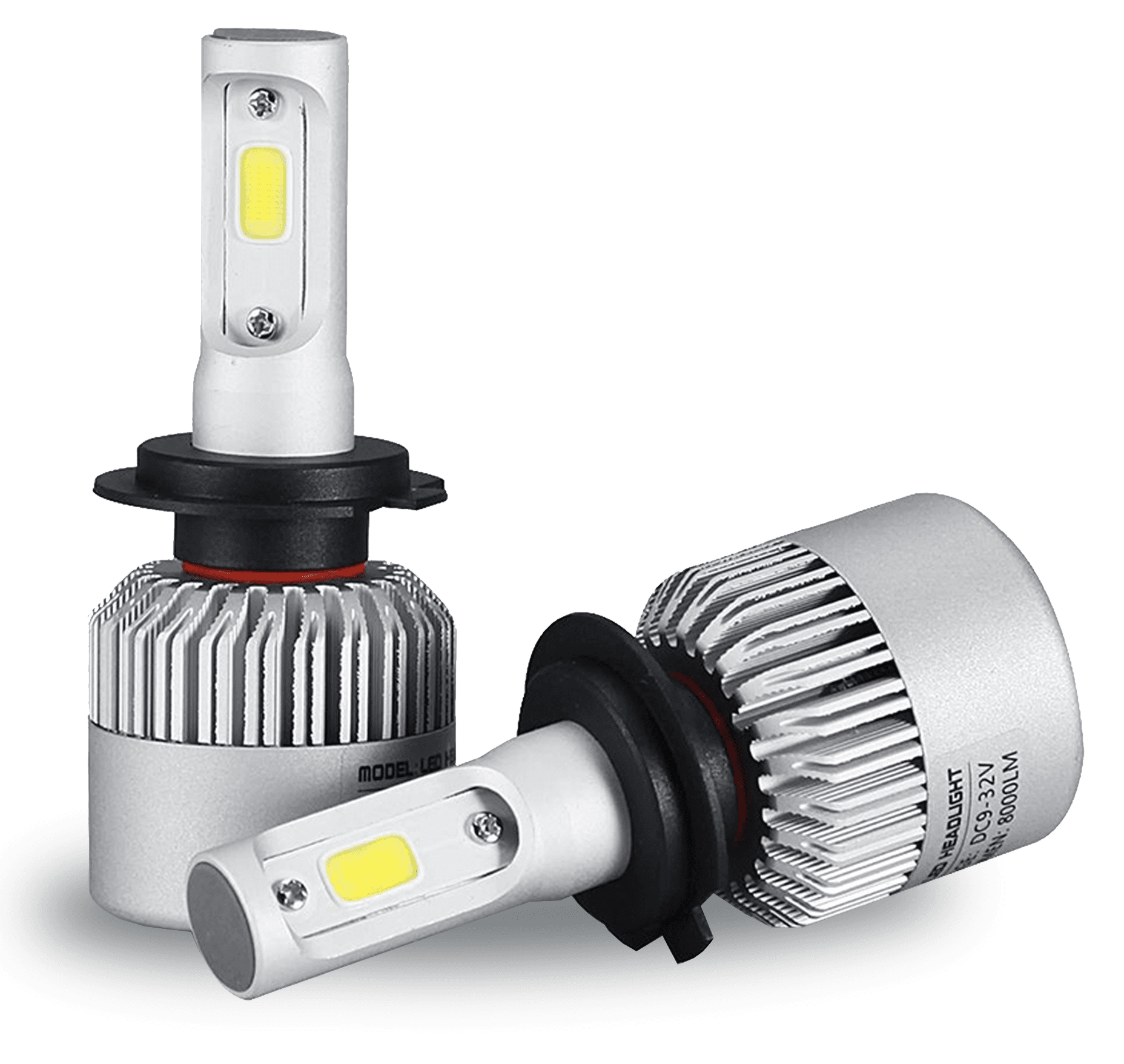 Halogen Bulbs